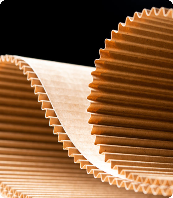 single face corrugated@2x